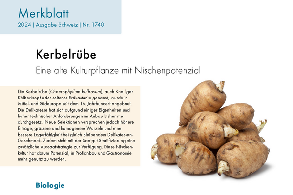 Cover: merkblatt Kerbelrübe